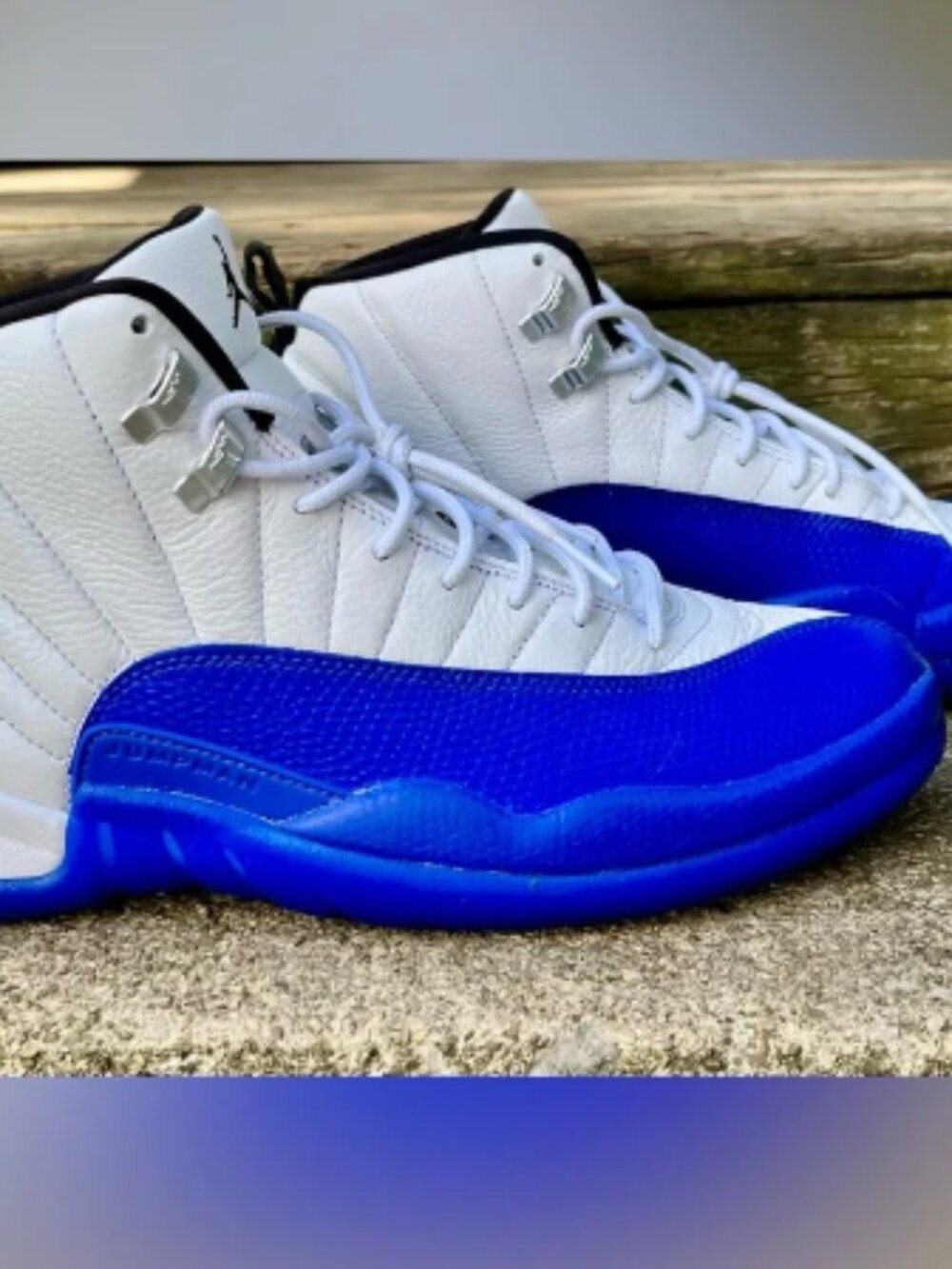 Nike Air Jordan 12 Retro 'Blueberry'